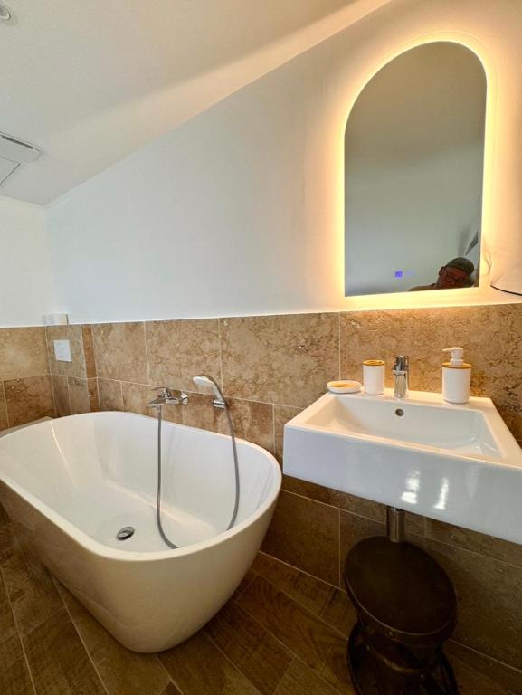 buissoncaché-Salle de bains entière4